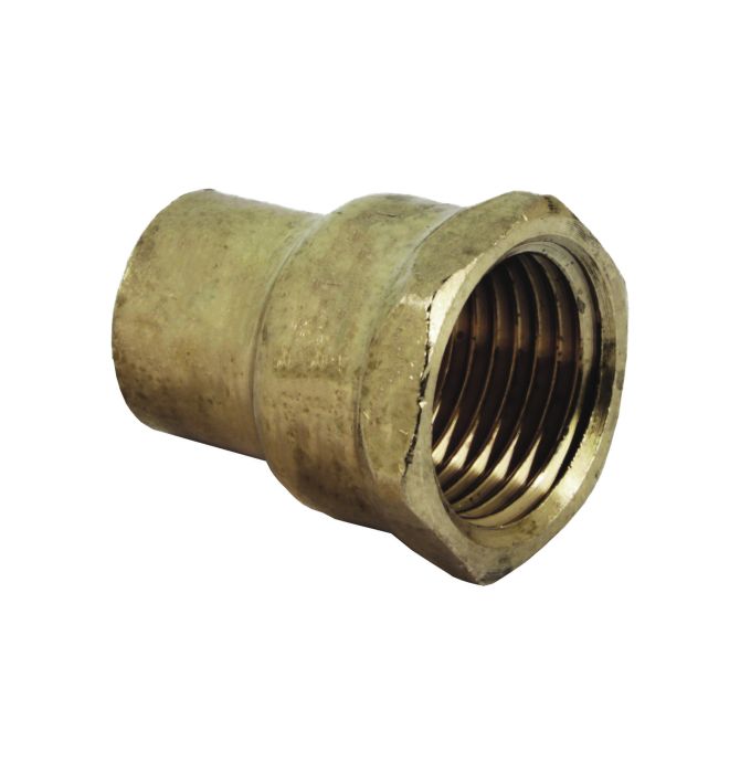 End Feed Female Iron Straight Adaptor (Brass) (35mm x 1.1/4 BSP)